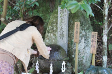 t02200147_0500033311608970915