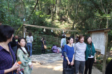 t02200147_0500033311608991159