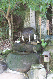 t02200330_0333050011608969420