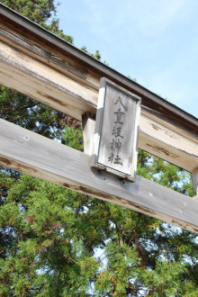 t02200330_0333050011608972159