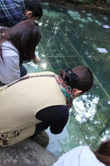 t02200330_0333050011608991184