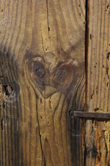 t02200330_0333050011608999485